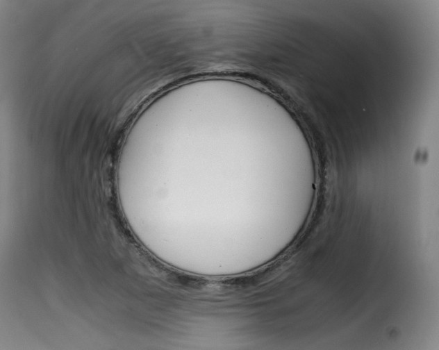 X0000116001265200911191205