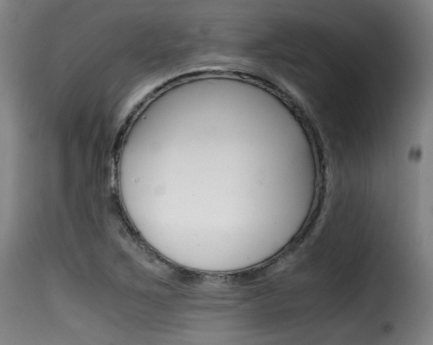 X0000116001267200911191205