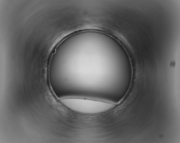 X0000116001268200911191205