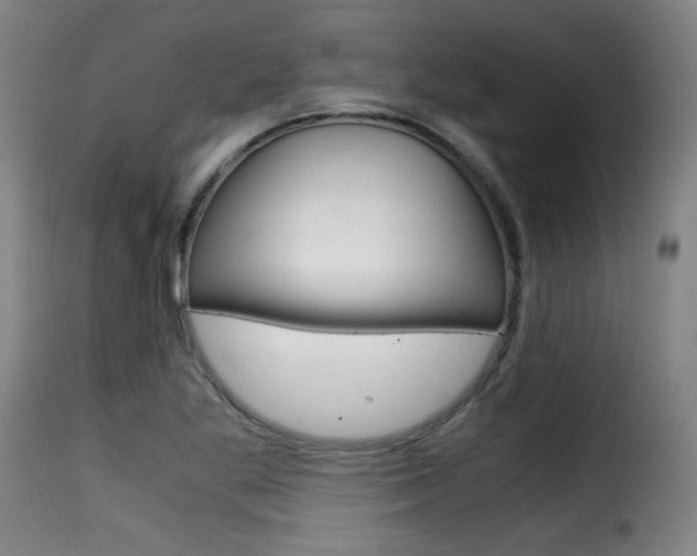 X0000116001269200911191205
