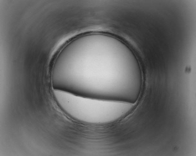 X0000116001270200911191205