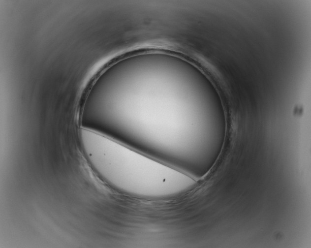 X0000116001272200911191205