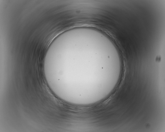 X0000116001273200911191205