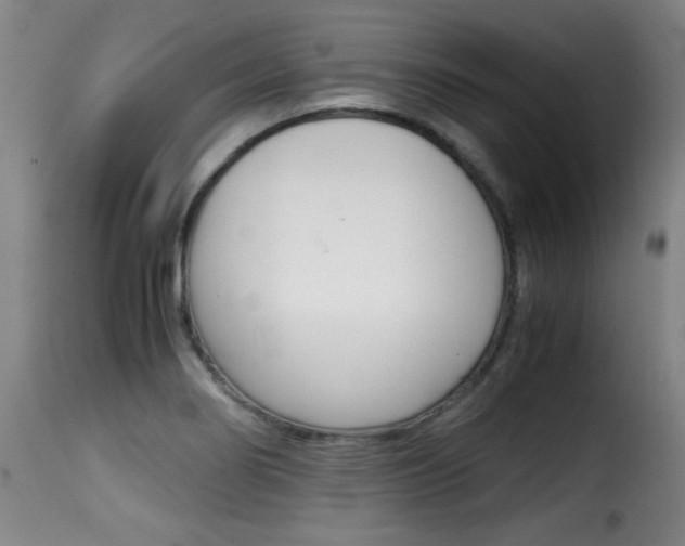 X0000116001274200911191205