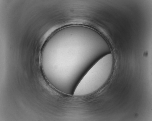 X0000116001275200911191205