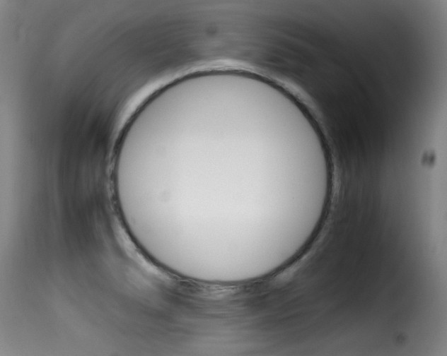 X0000116001278200911191205