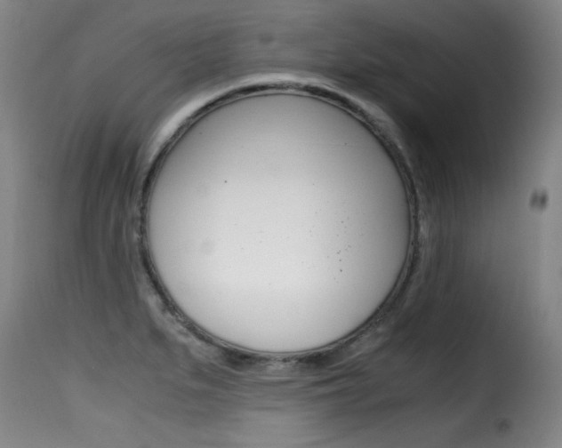 X0000116001279200911191205