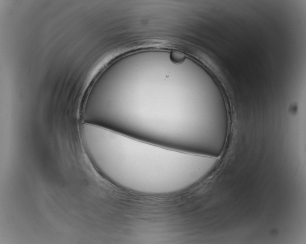 X0000116001283200911191205