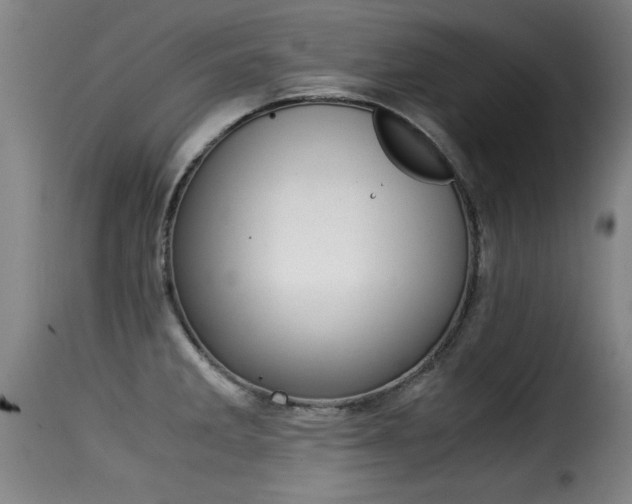 X0000116001285200911191205