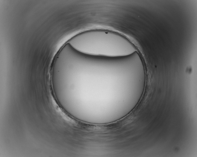X0000116001287200911191205