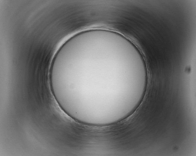 X0000116001288200911191205