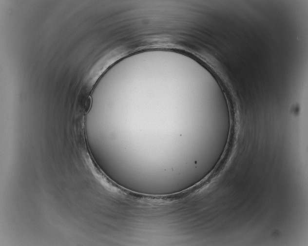 X0000116001289200911191205