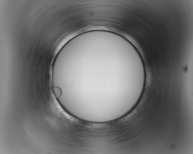 X0000116001290200911191205