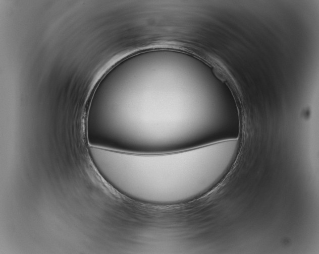 X0000116001292200911191205