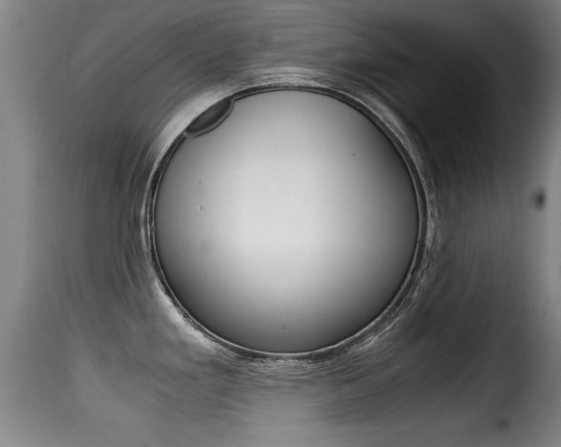 X0000116001293200911191205