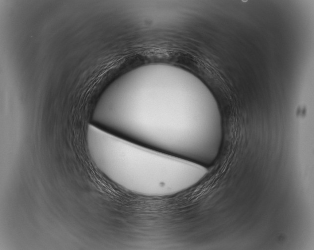 X0000116001297200911191204
