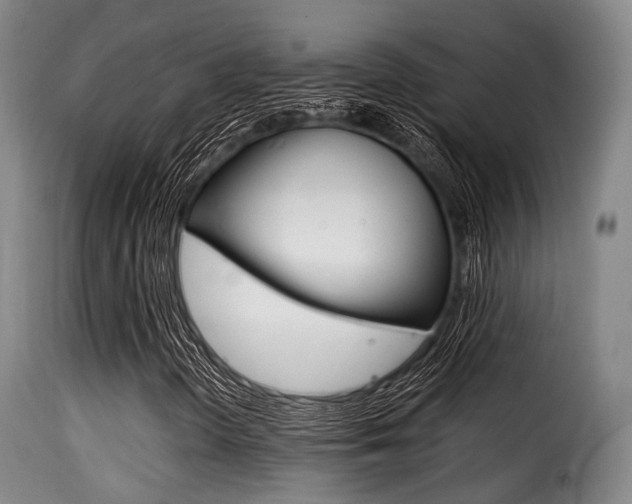 X0000116001298200911191204