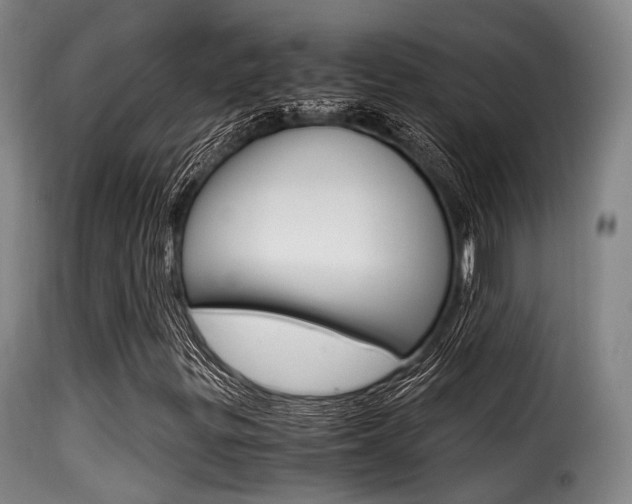 X0000116001299200911191204