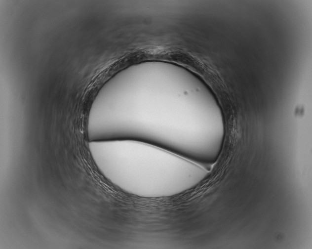 X0000116001301200911191204