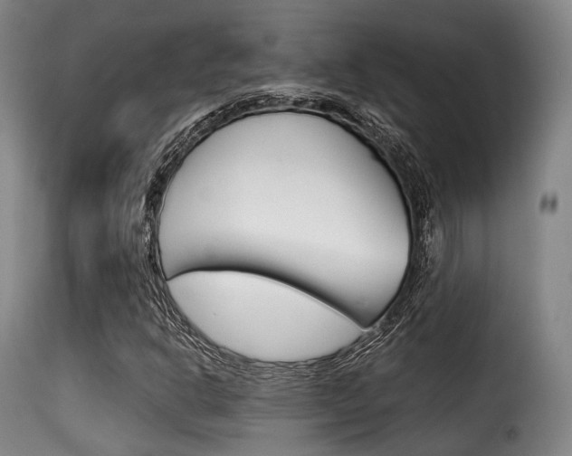X0000116001302200911191204