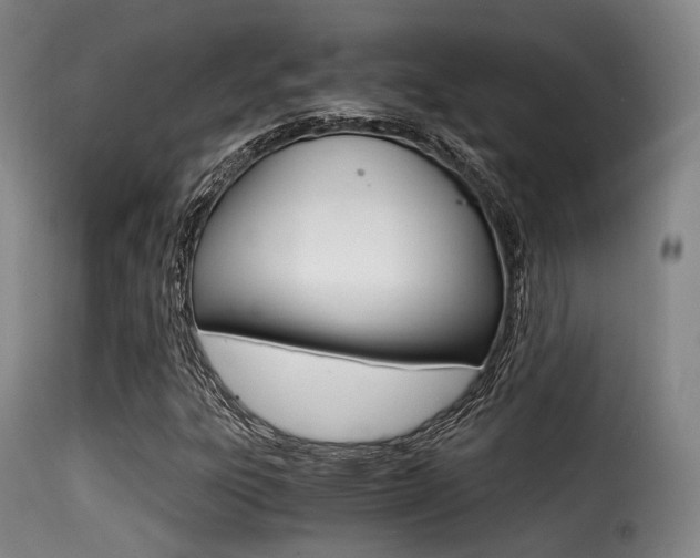 X0000116001303200911191204