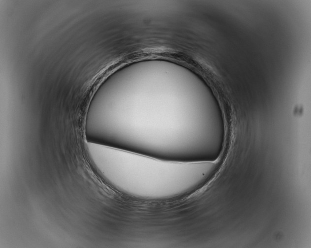 X0000116001305200911191204