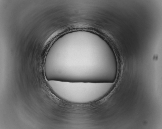 X0000116001306200911191204