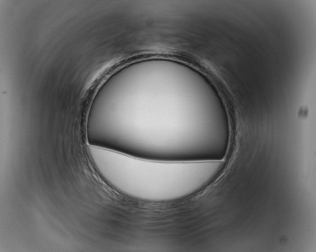 X0000116001307200911191204