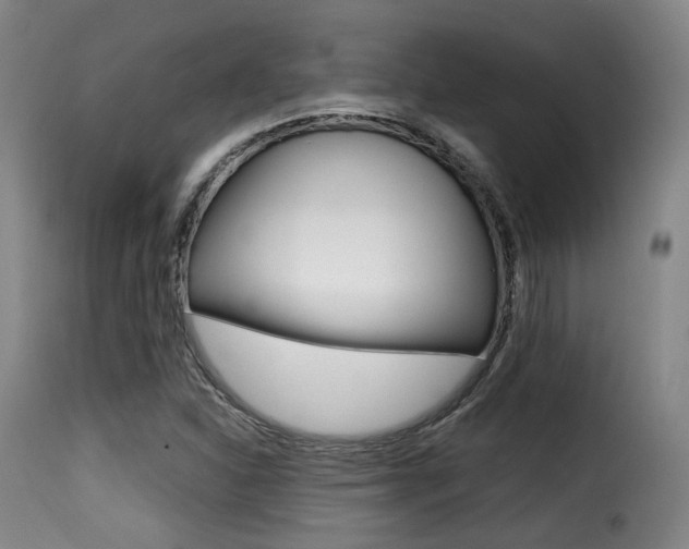 X0000116001310200911191204