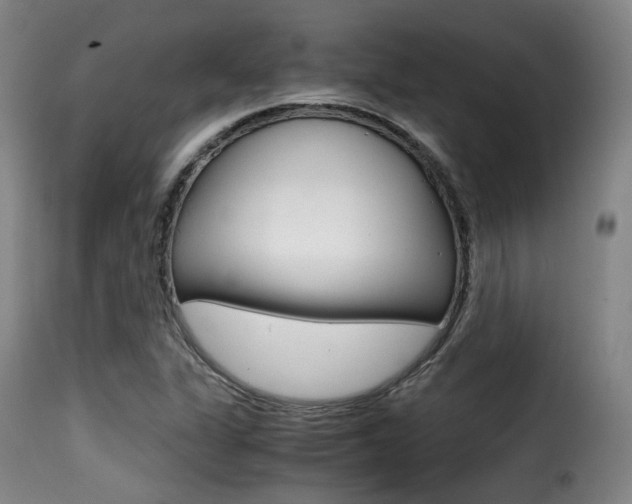 X0000116001311200911191204