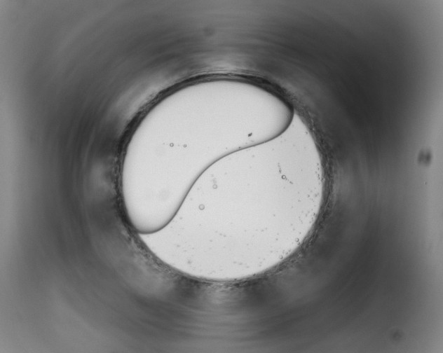 X0000116001314200911191204