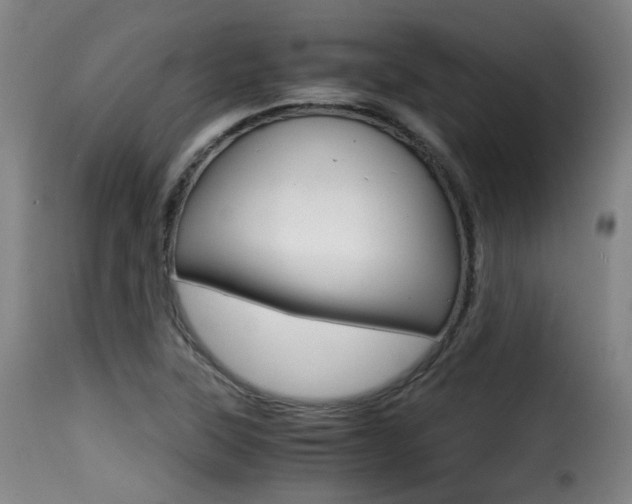 X0000116001315200911191204