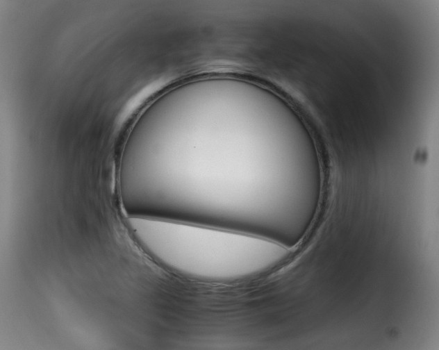 X0000116001317200911191204