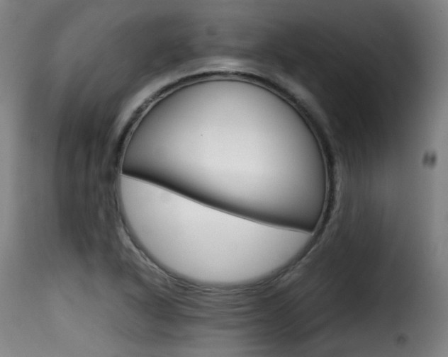 X0000116001318200911191204