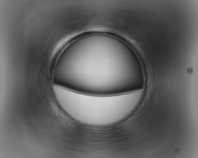X0000116001319200911191204