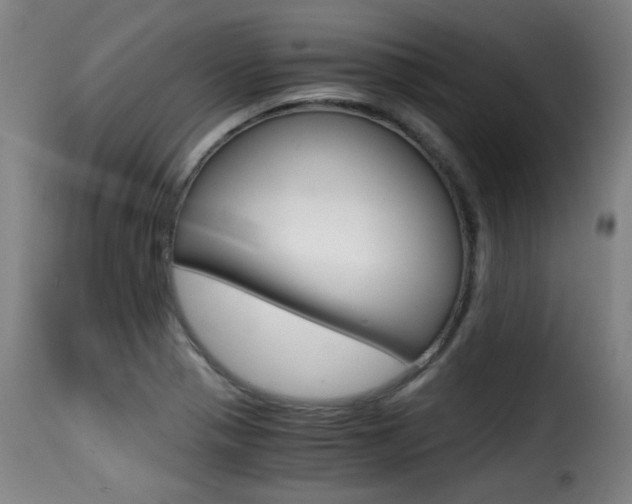 X0000116001321200911191204