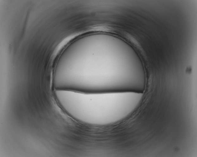 X0000116001323200911191205