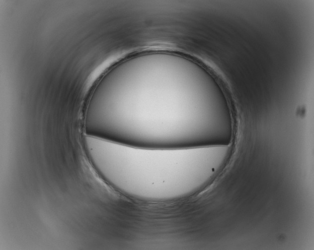 X0000116001325200911191205