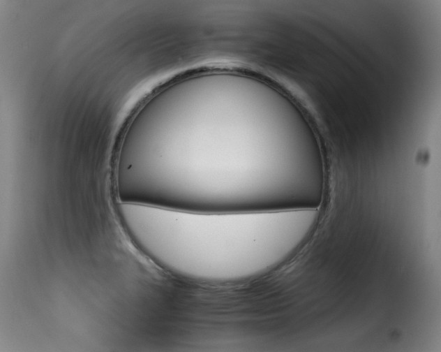 X0000116001327200911191205