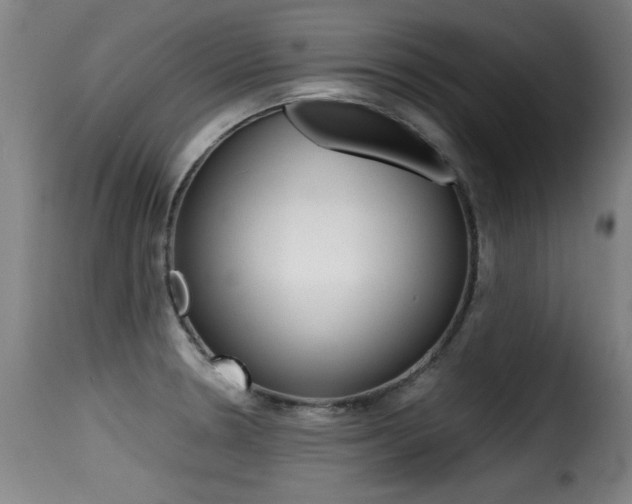X0000116001330200911191205