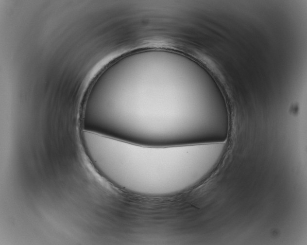X0000116001331200911191205