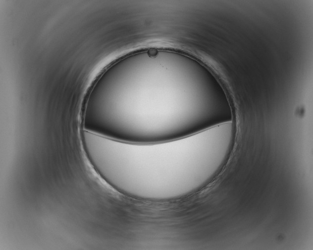 X0000116001334200911191205