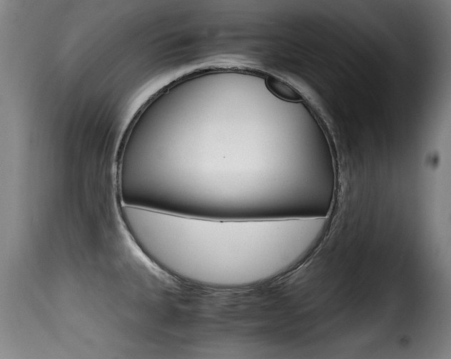 X0000116001335200911191205