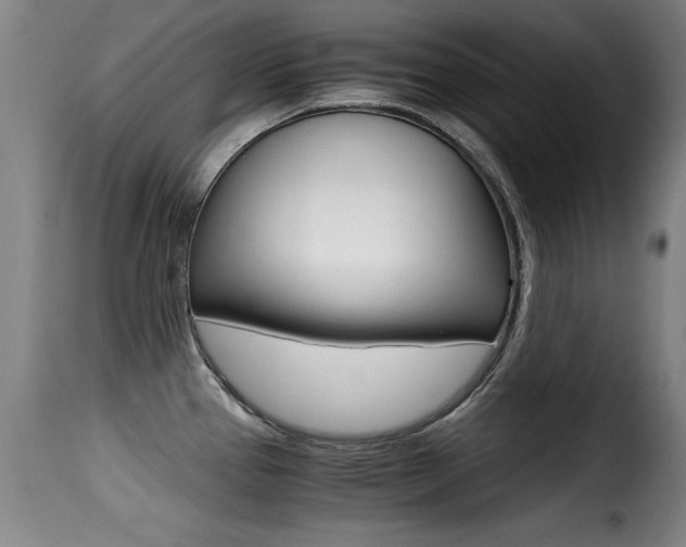 X0000116001337200911191205