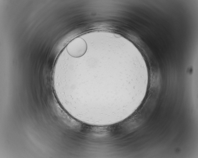 X0000116001338200911191205