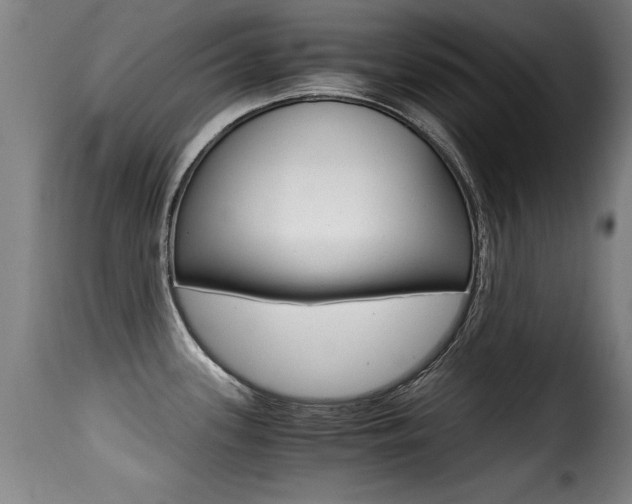 X0000116001339200911191205