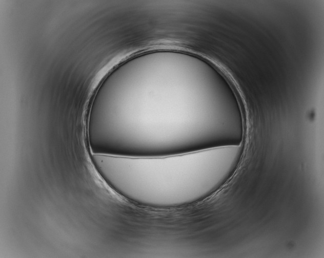 X0000116001341200911191205