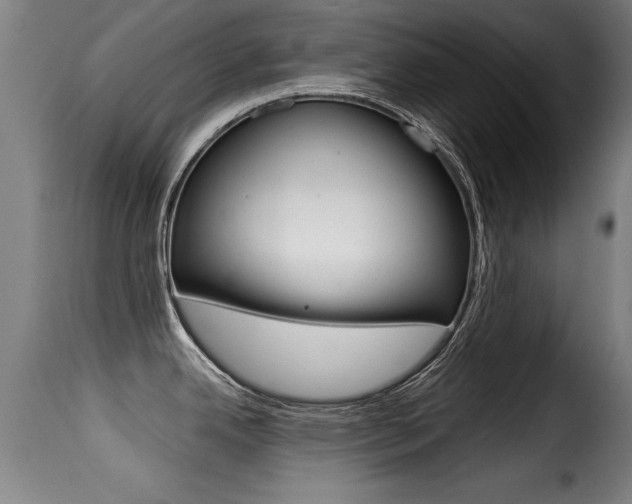 X0000116001342200911191205
