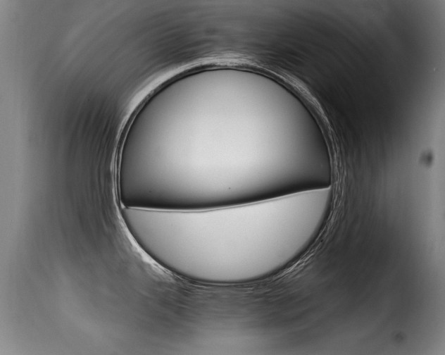 X0000116001343200911191205
