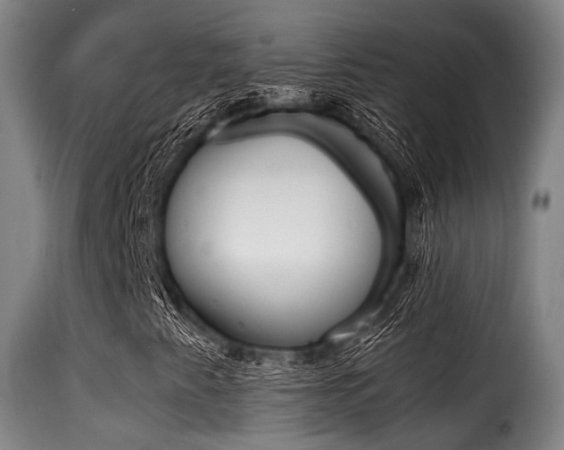 X0000116001345200911191204